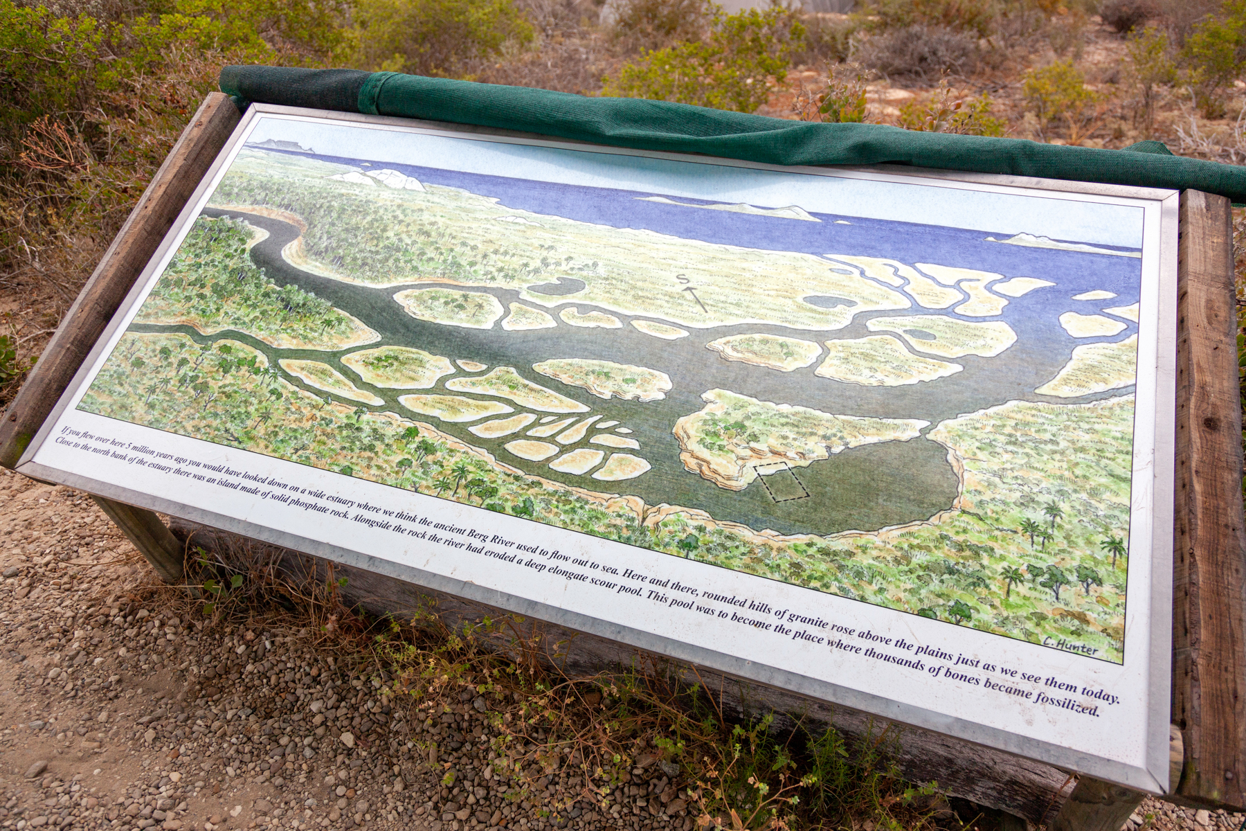 dig site