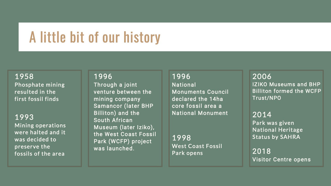 FOssil Park History