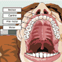 teeth